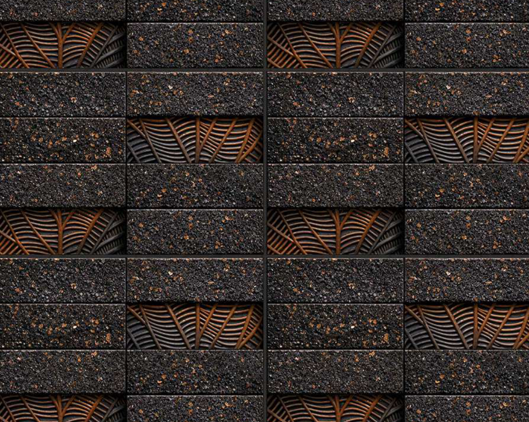 2025 - Elevation - 4